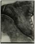 Photograph: [Photograph of leather boot]