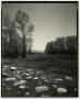 Photograph: [Photograph of a large field]