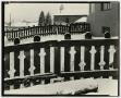 Photograph: [Photograph of fences covered in snow]