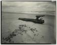 Thumbnail image of item number 1 in: '[Photograph of drift wood on a beach]'.
