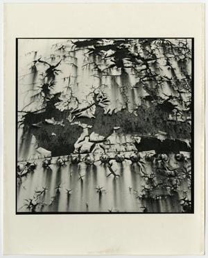 Primary view of object titled '[Photograph of a textured surface]'.
