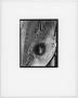 Photograph: [Photograph of wood with hole]