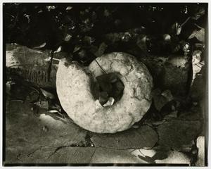Primary view of object titled '[Photograph of spiral rock]'.