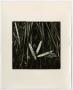 Thumbnail image of item number 1 in: '[Photograph of reeds and leaves, 2]'.