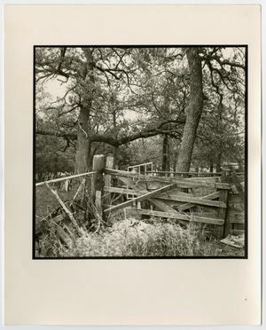 Primary view of object titled '[Photograph of a broken fence]'.