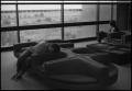 Photograph: [Student sleeping in Willis Library]