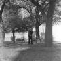 Photograph: [Male Who's Who student standing beside a tree]