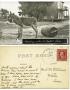 Primary view of [Postcard of a donkey hauling water]