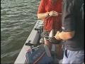 Video: [News Clip: Outdoors Striper Fishing]