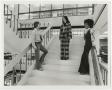 Photograph: [Three students standing on A. M. Willis, Jr. Library stairs]