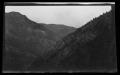 Photograph: [Mountains covered in coniferous trees]
