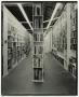 Photograph: [Photograph of bookcases, 2]