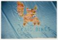 Thumbnail image of item number 1 in: '[Quilt Panel Dedicated to Craig Bines]'.