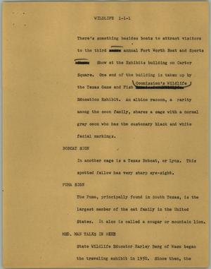 Primary view of object titled '[News Script: Wildlife]'.