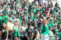 Photograph: [Mean Green Fans at 2015 Homecoming Game]
