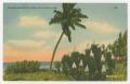 Primary view of [Postcard from Lt. Edward Drew to Mickey Eleanor, January 13, 1943]