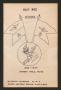 Pamphlet: [Pamphlet: WASP WWII Guidons]