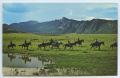 Primary view of [Postcard of Mountain Horseback Riding]