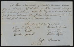 Primary view of object titled '[Document Concerning the Sentencing of Gabriel and Anestacio Castro]'.