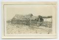 Thumbnail image of item number 1 in: '[Jacal Home With Thatched Roof]'.