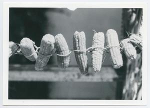 Primary view of object titled '[Chacales Hanging to Dry]'.