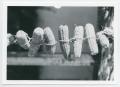 Thumbnail image of item number 1 in: '[Chacales Hanging to Dry]'.