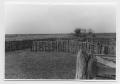 Photograph: [Frontal View of Wooden Fence]