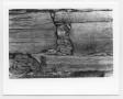 Primary view of [Close-Up View of Boards on a Wooden Structure]