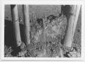 Photograph: [Wall Structure of Collapsed Jacal Home]