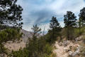 Photograph: Photograph on the Guadalupe Peak Trail