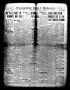 Primary view of Palestine Daily Herald (Palestine, Tex), Vol. 17, No. 263, Ed. 1 Monday, March 3, 1919