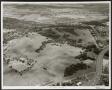 Photograph: [Aerial View of Cedar Crest Park and Surrounding Area]