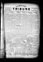Thumbnail image of item number 1 in: 'The Lavaca County Tribune (Hallettsville, Tex.), Vol. 1, No. 31, Ed. 1 Thursday, August 4, 1932'.