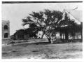Thumbnail image of item number 1 in: 'Coleman Fulton Pasture Company'.