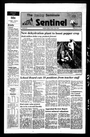 Primary view of object titled 'The Seminole Sentinel (Seminole, Tex.), Vol. 86, No. 70, Ed. 1 Sunday, June 27, 1993'.