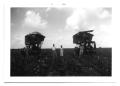 Primary view of [Cotton Picking Equipment]