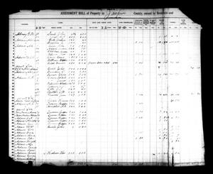 Primary view of object titled '[Jasper County, Texas Tax Roll: 1882]'.
