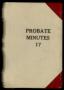 Book: Travis County Probate Records: Probate Minutes 17