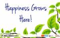 Thumbnail image of item number 1 in: 'Happiness Grows Here!'.