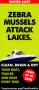 Pamphlet: Zebra mussels attack lakes.