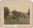 Primary view of [Andrew J. Nelson Farm in the Country]