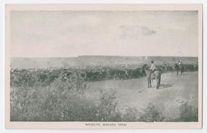 Primary view of object titled '[Cattle and Cowboys]'.