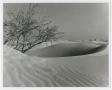 Primary view of [Photograph of a Sand Dune]