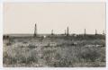 Postcard: [Oil Field in Colorado Texas]