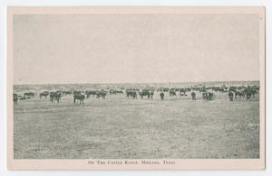 Primary view of object titled '[Postcard of a Cattle Range]'.