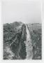 Photograph: [Photograph of a Trench]