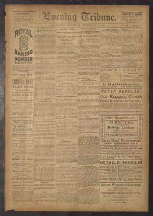 Primary view of object titled 'Evening Tribune. (Galveston, Tex.), Vol. 6, No. 131, Ed. 1 Saturday, February 6, 1886'.