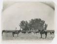 Photograph: [Fred Cowden and Ranch Hand]