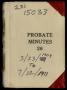 Book: Travis County Probate Records: Probate Minutes 26