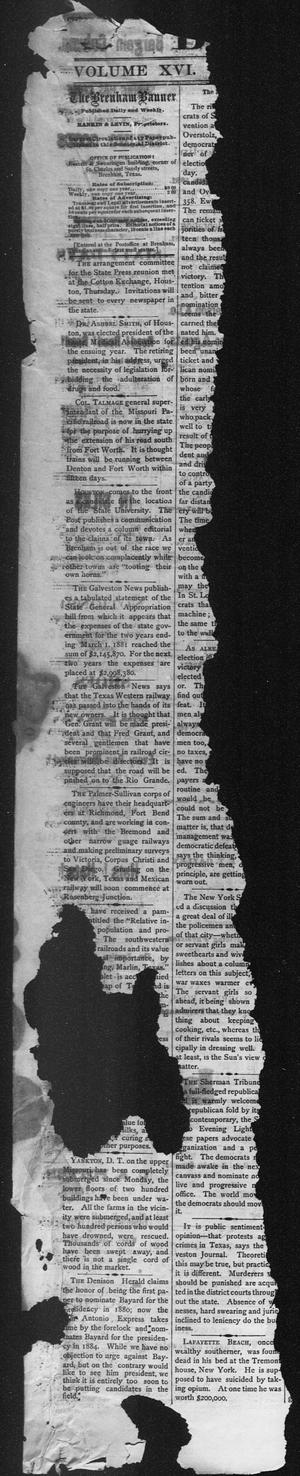 Primary view of object titled 'Brenham Weekly Banner. (Brenham, Tex.), Vol. 16, No. 28, Ed. 1, Thursday, July 14, 1881'.